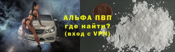 индика Ачинск