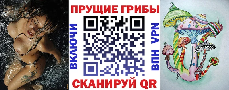 Псилоцибиновые грибы Psilocybe  даркнет сайт  Рассказово 